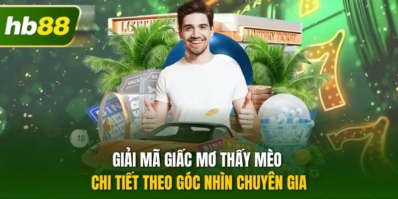 Giải mã giấc mơ thấy mèo chi tiết theo góc nhìn chuyên gia
