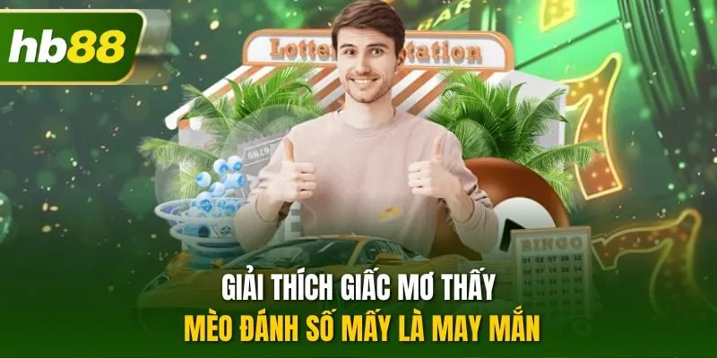 Giải thích giấc mơ thấy mèo đánh số mấy là may mắn